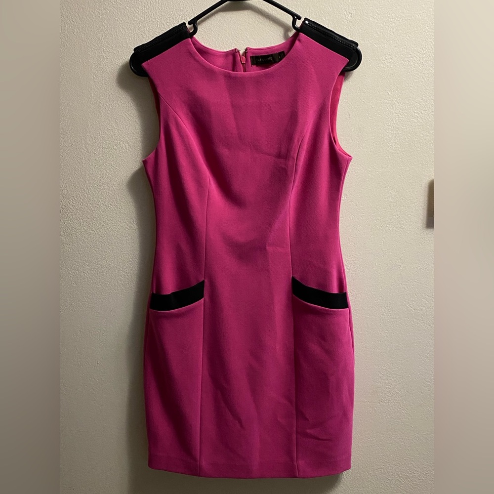 The Limited Dress Pink and Black Size 2